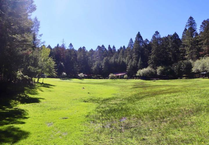 Diego Mateo: Centro Ecoturístico en Mineral del Chico