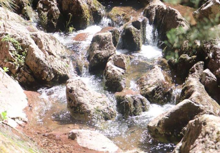 Diego Mateo: Centro Ecoturístico en Mineral del Chico