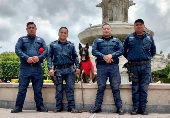 Policía Violeta fortalece acciones de prevención