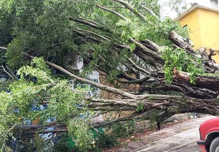 Sin acceso a la red telefónica en Zoyotla