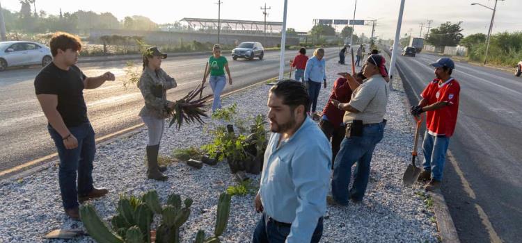 45 mil árboles para Rioverde  