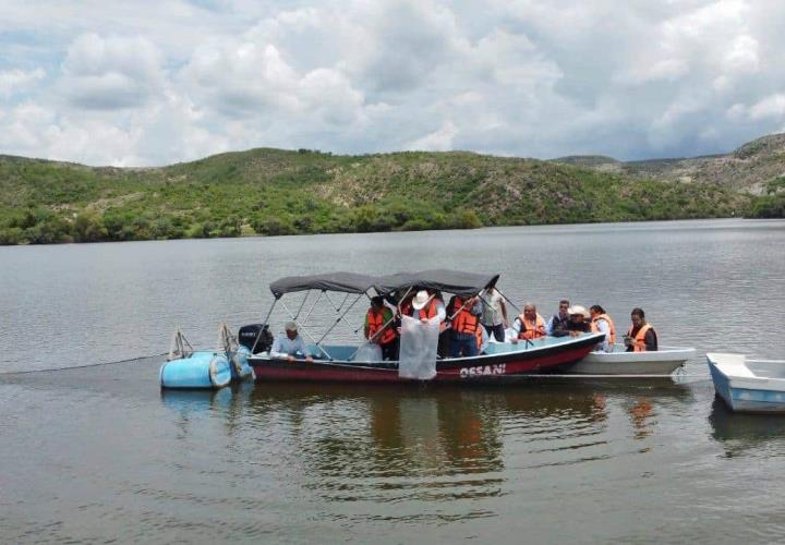 Acuicultores hidalguenses han recibido más de 9 millones de crías de peces de diferentes especies