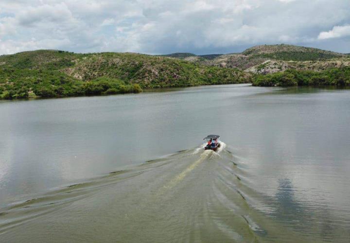 Acuicultores hidalguenses han recibido más de 9 millones de crías de peces de diferentes especies