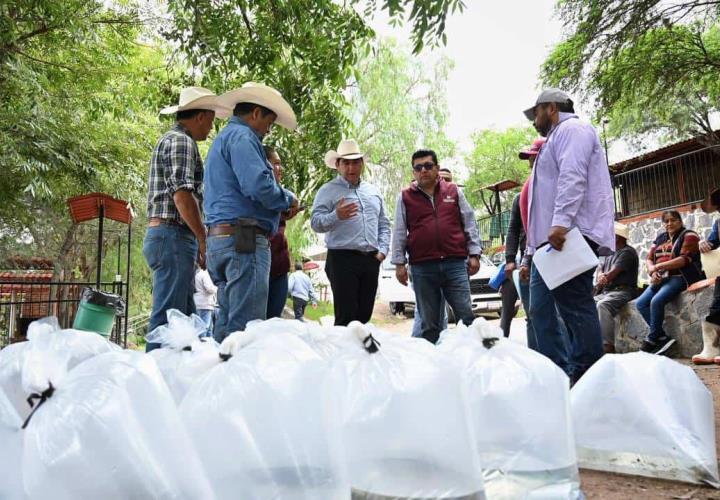 Acuicultores hidalguenses han recibido más de 9 millones de crías de peces de diferentes especies