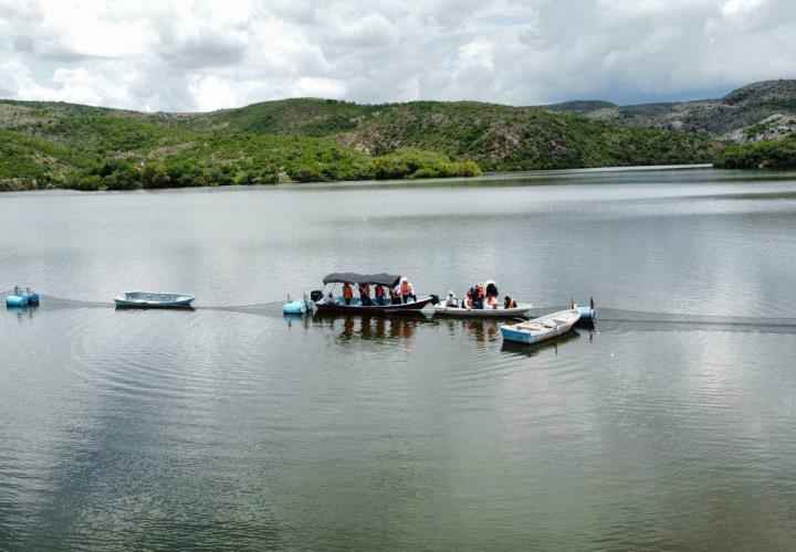 Acuicultores hidalguenses han recibido más de 9 millones de crías de peces de diferentes especies