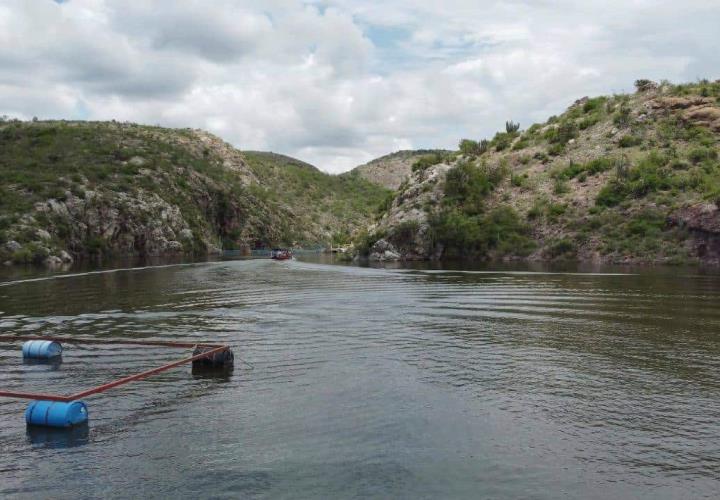 Acuicultores hidalguenses han recibido más de 9 millones de crías de peces de diferentes especies