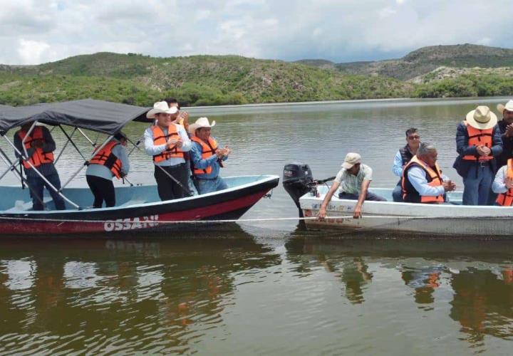 Acuicultores hidalguenses han recibido más de 9 millones de crías de peces de diferentes especies