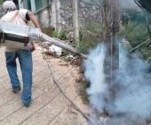 Reforzaron fumigación  principal contra el dengue, SSA