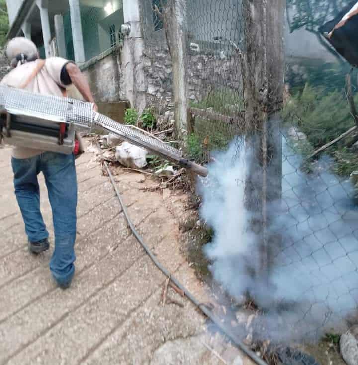 Reforzaron fumigación  principal contra el dengue, SSA