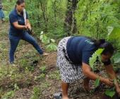 Reforestan áreas de la zona Tének