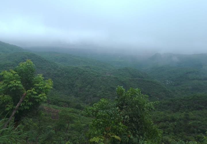 Las lluvias marcaron un antes y un después