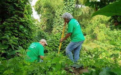 Reforestarán ambientalistas áreas verdes en Chapulhuacanito