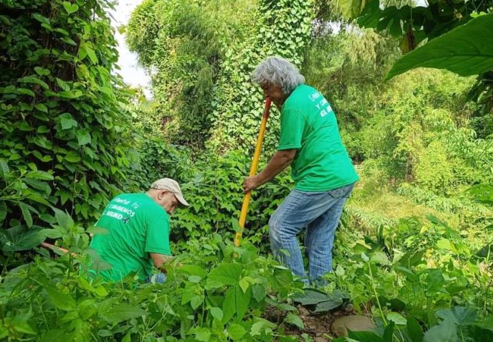 Reforestarán ambientalistas áreas verdes en Chapulhuacanito