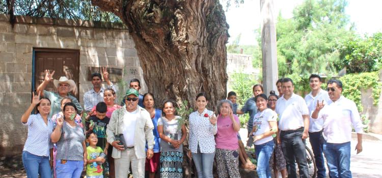 Reforestaron comunidades 