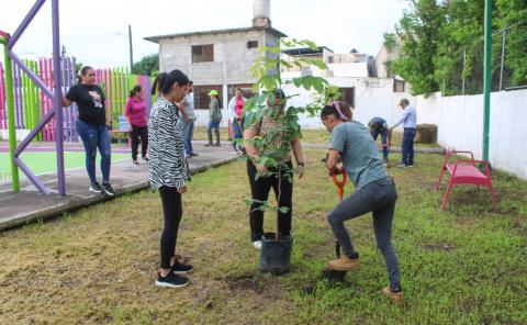 Reforestan área de esparcimiento 
