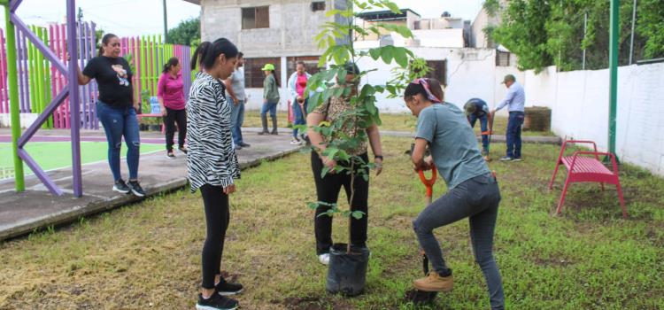 Reforestan área de esparcimiento 