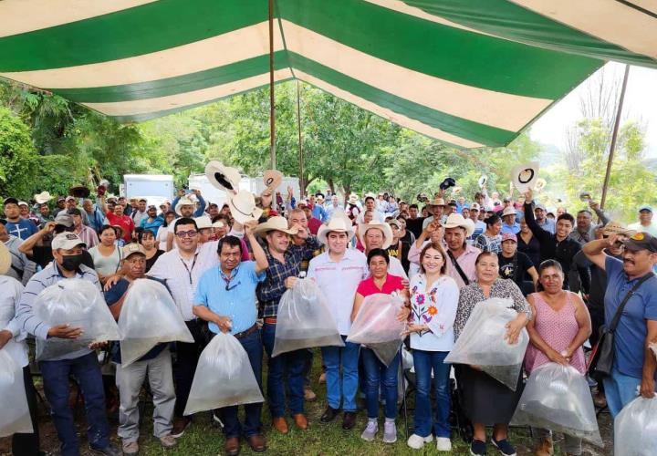 Realiza Saderh siembra de alevines en la Laguna de Metztitlán 