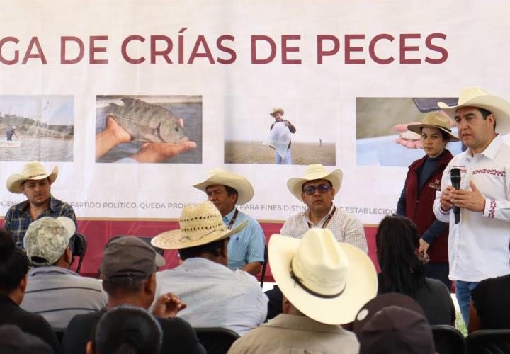 Realiza Saderh siembra de alevines en la Laguna de Metztitlán 