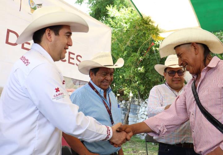 Realiza Saderh siembra de alevines en la Laguna de Metztitlán 