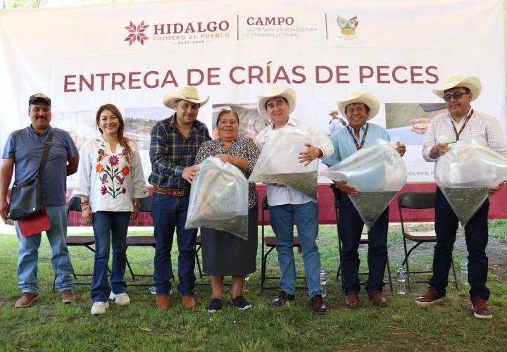 Realiza Saderh siembra de alevines en la Laguna de Metztitlán 