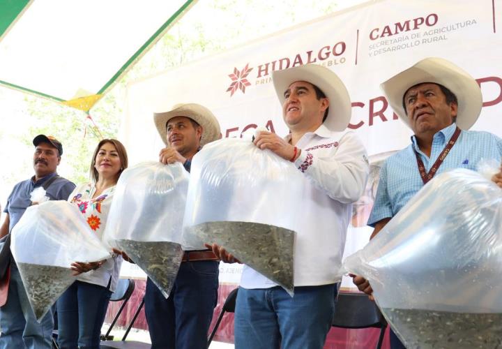 Realiza Saderh siembra de alevines en la Laguna de Metztitlán 