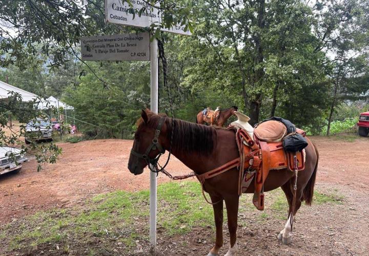 Fiesta Patronal Cebadas 2024, una tradición que buscan compartir