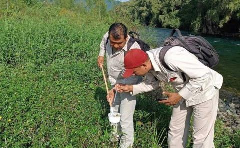 Desmonte de predios evitará propagación de enfermedades