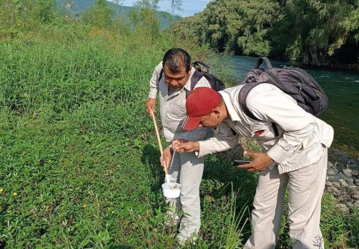 Desmonte de predios evitará propagación de enfermedades