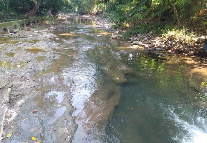 Bajan los niveles de agua en arroyos