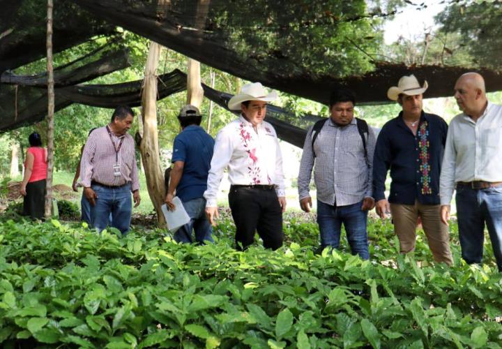 Entrega apoyos agropecuarios titular de Saderh en gira por la Sierra y Huasteca