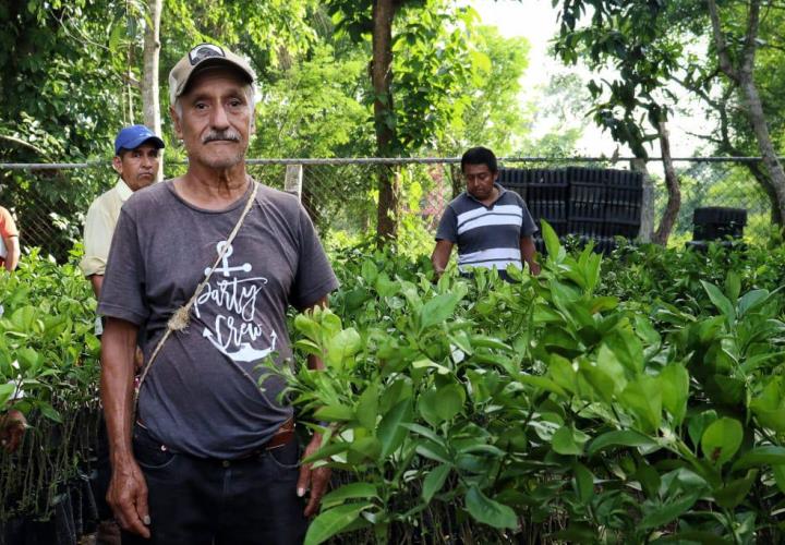 Entrega apoyos agropecuarios titular de Saderh en gira por la Sierra y Huasteca