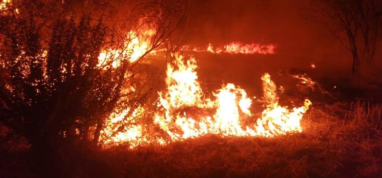 Controlaron incendio de pastizal y basura