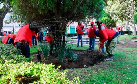 Las áreas verdes se recuperaron al 85%
