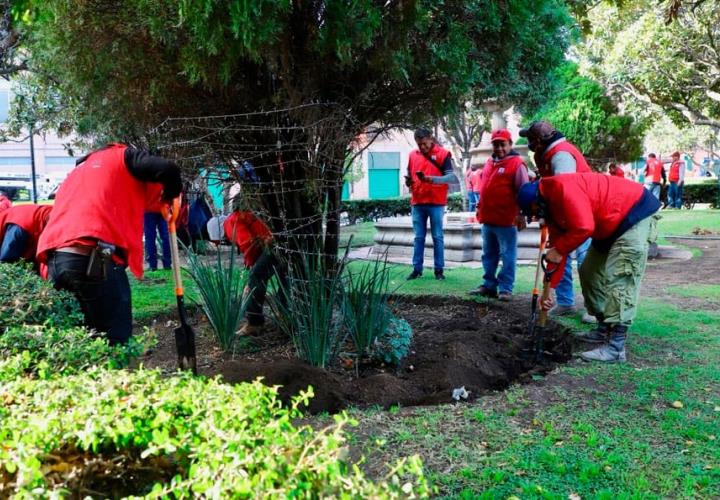 Las áreas verdes se recuperaron al 85%