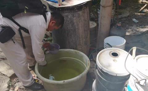 Brote de dengue en comunidades por zancudos