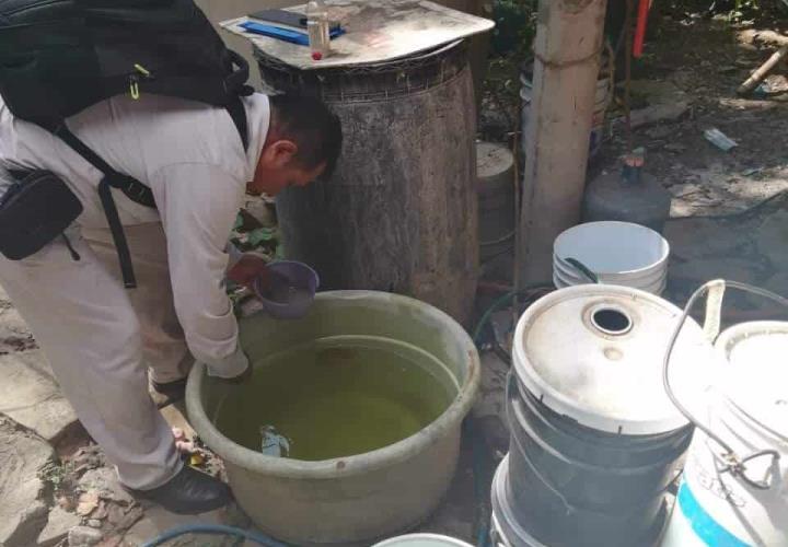 Brote de dengue en comunidades por zancudos