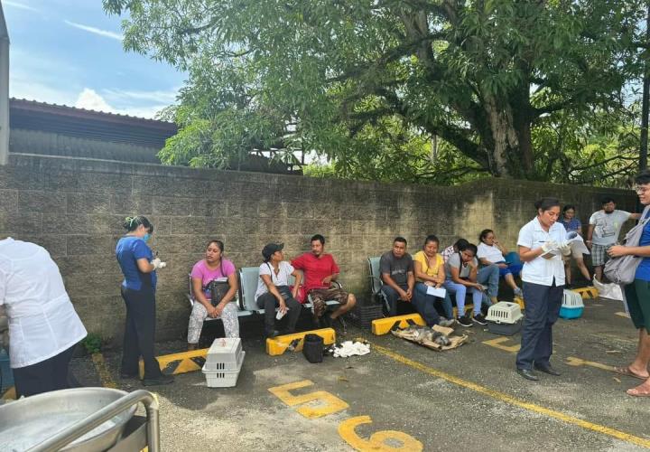 Anuncian jornada masiva de esterilizaciones el próximo 26