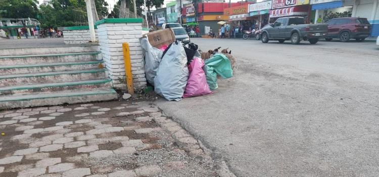 Caos por la basura