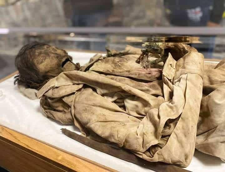 Museo Momias Hñähñus de Caltimacán exhibe nuevos cuerpos momificados