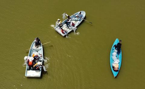 Siembra Saderh crías de peces en la presa Requena