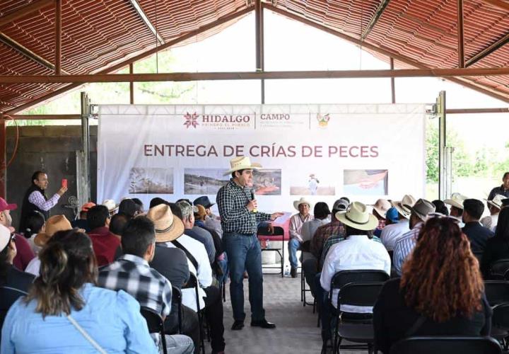 Siembra Saderh crías de peces en la presa Requena