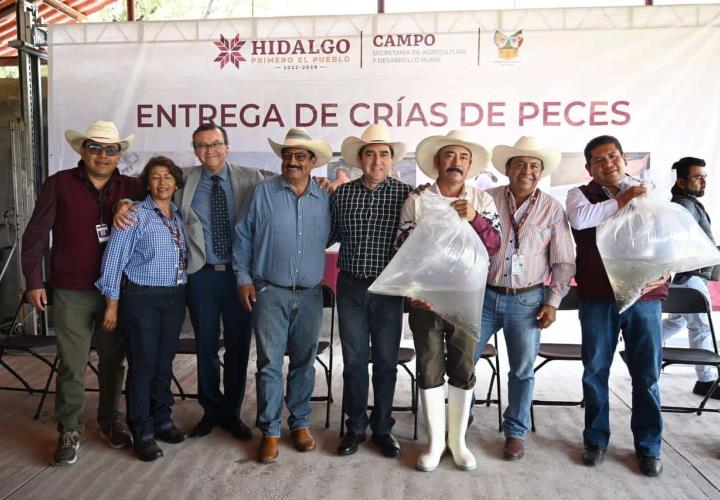 Siembra Saderh crías de peces en la presa Requena