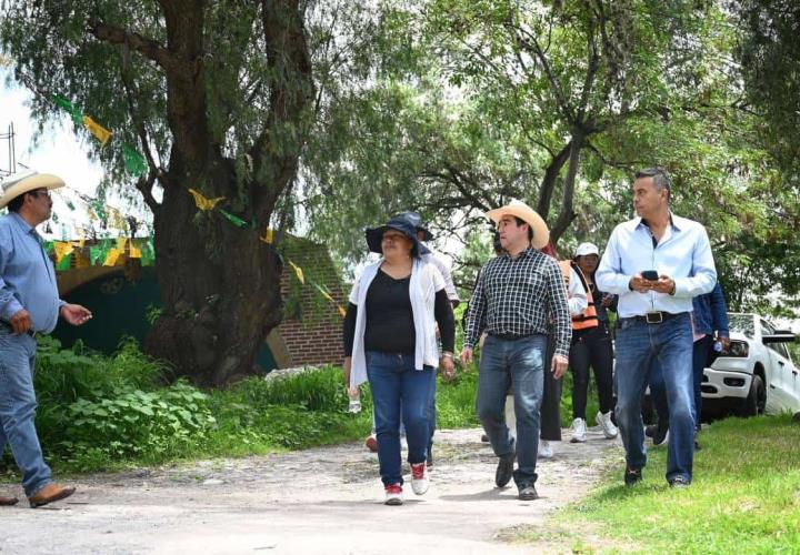 Siembra Saderh crías de peces en la presa Requena