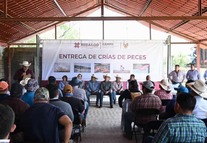 Siembra Saderh crías de peces en la presa Requena