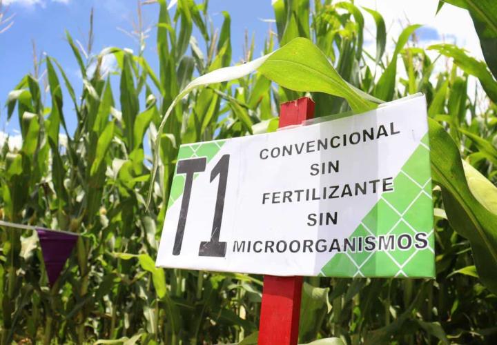 Saderh visita Plataforma de Investigación Mixquiahuala del CIDT