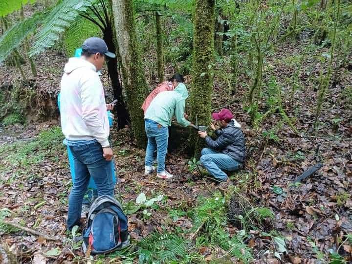 Hidalgo refuerza la protección de su biodiversidad con la instalación de cámaras trampa en la región Otomí-Tepehua