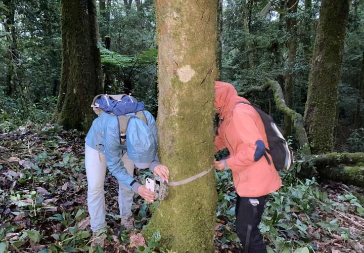 Hidalgo refuerza la protección de su biodiversidad con la instalación de cámaras trampa en la región Otomí-Tepehua