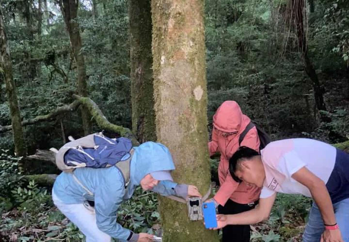 Hidalgo refuerza la protección de su biodiversidad con la instalación de cámaras trampa en la región Otomí-Tepehua