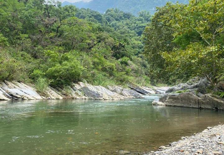 Hidalgo refuerza la protección de su biodiversidad con la instalación de cámaras trampa en la región Otomí-Tepehua