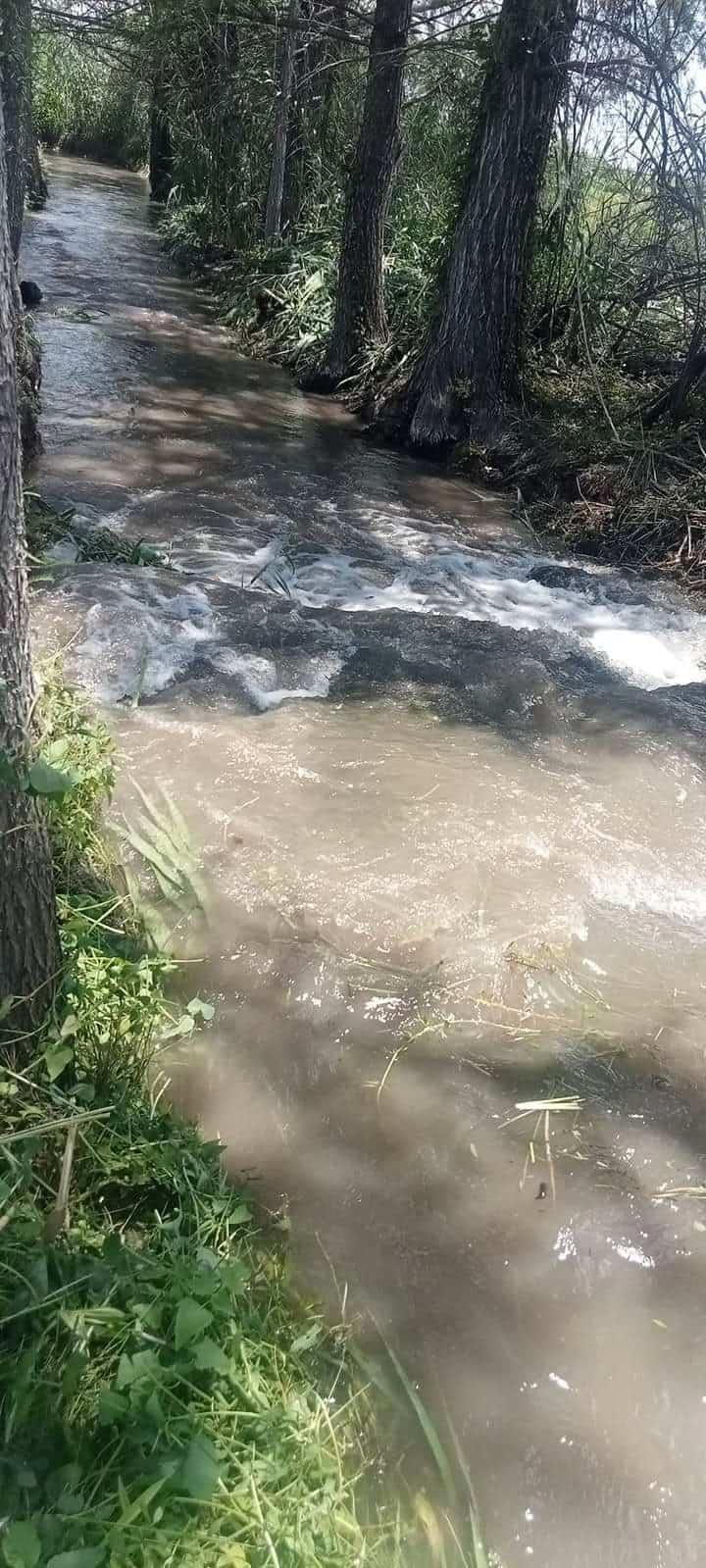 Campesinos regarán milpas